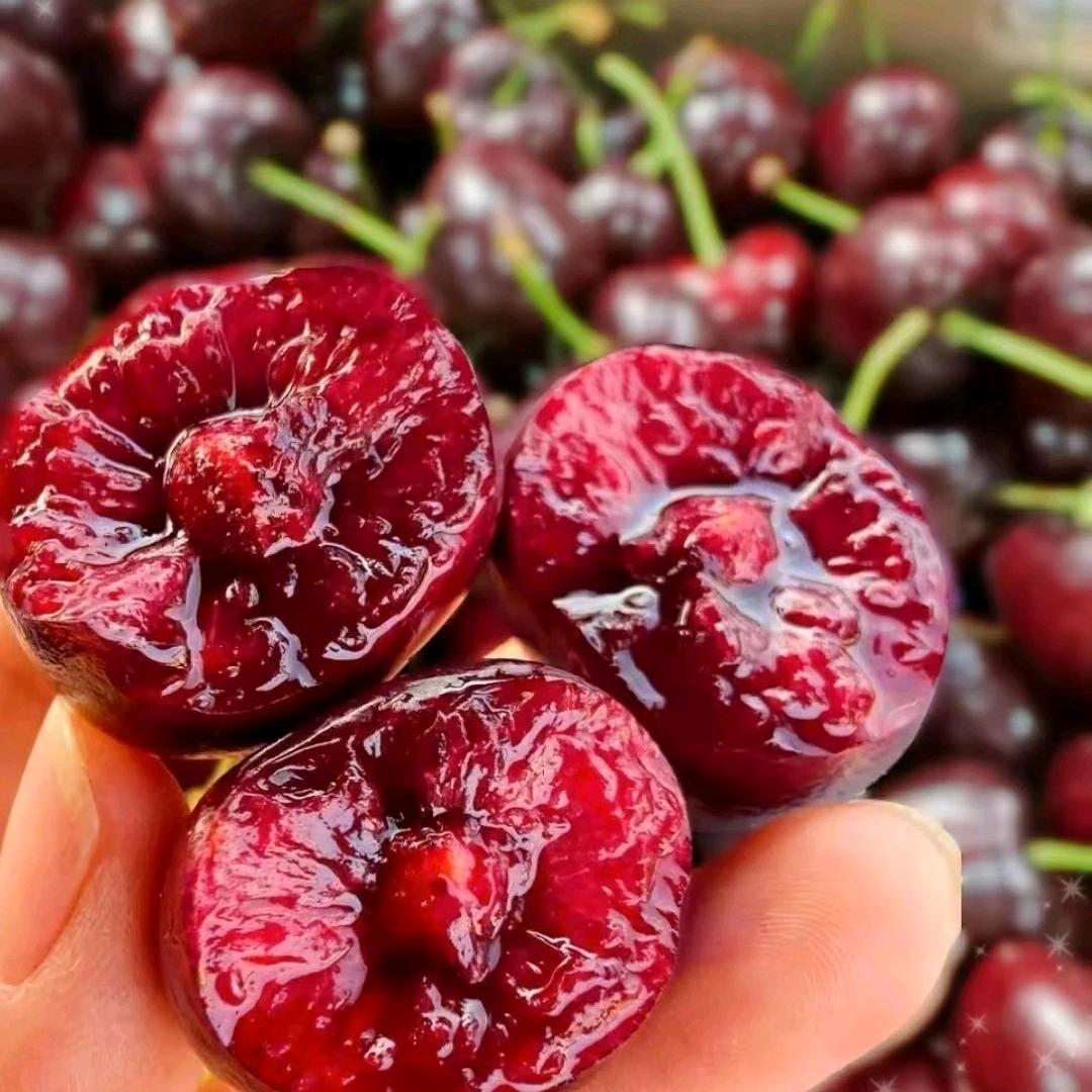 樱桃的小屋🍒