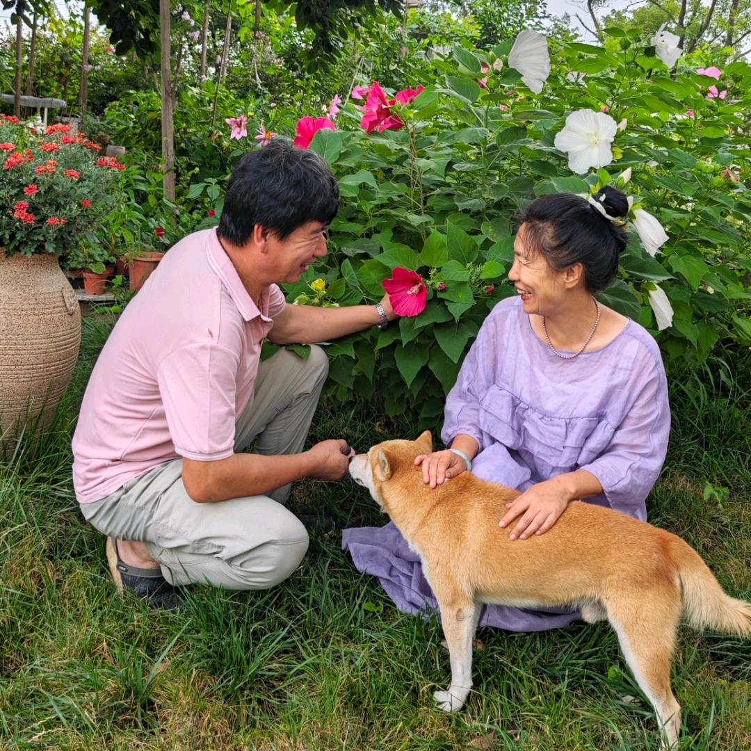 沉鱼落雁的花园