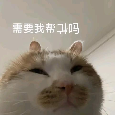 E.