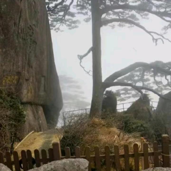 快乐小老头