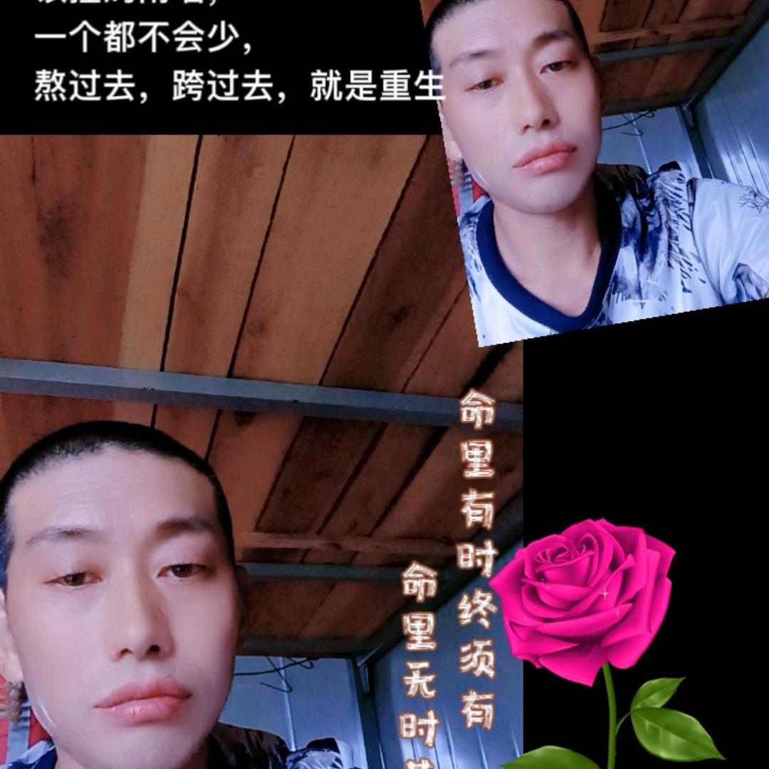 随意