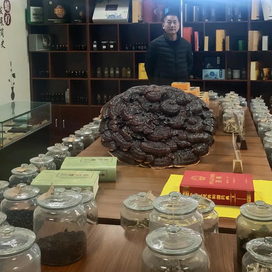 肌肉筋骨松解（收徒）