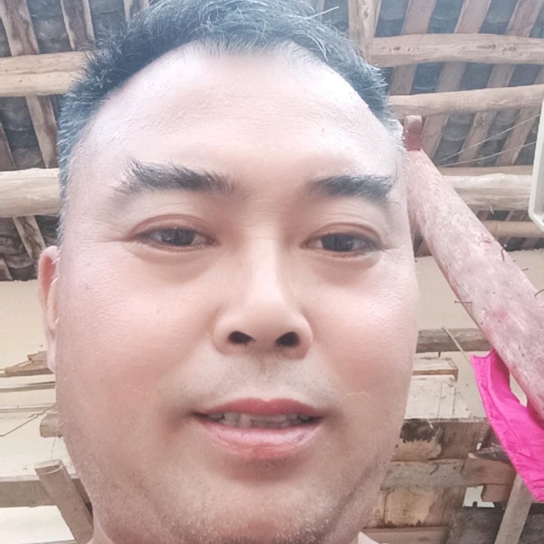 戊午马快乐