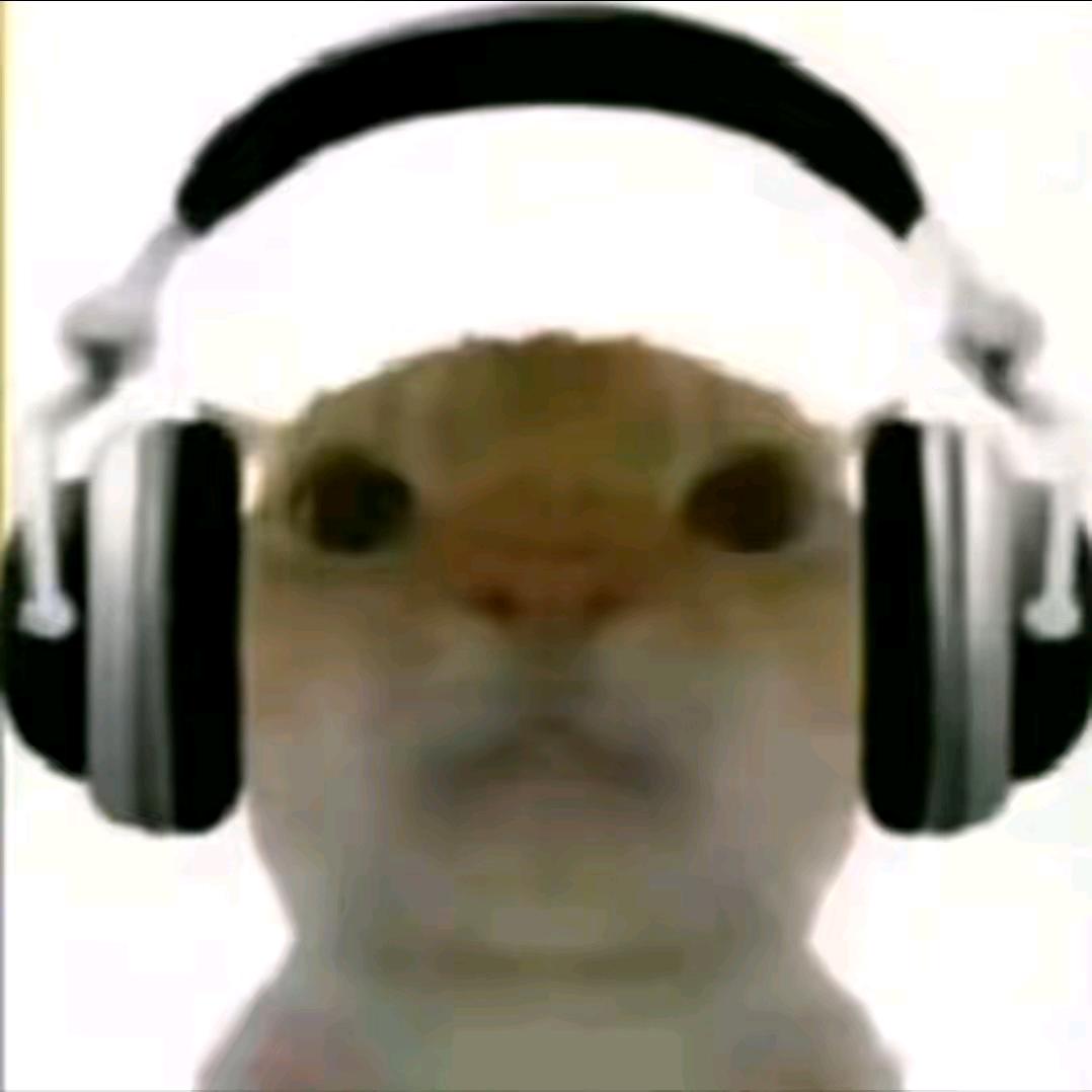鼠鼠🤓