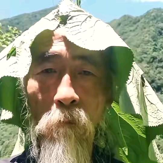半斤伍两