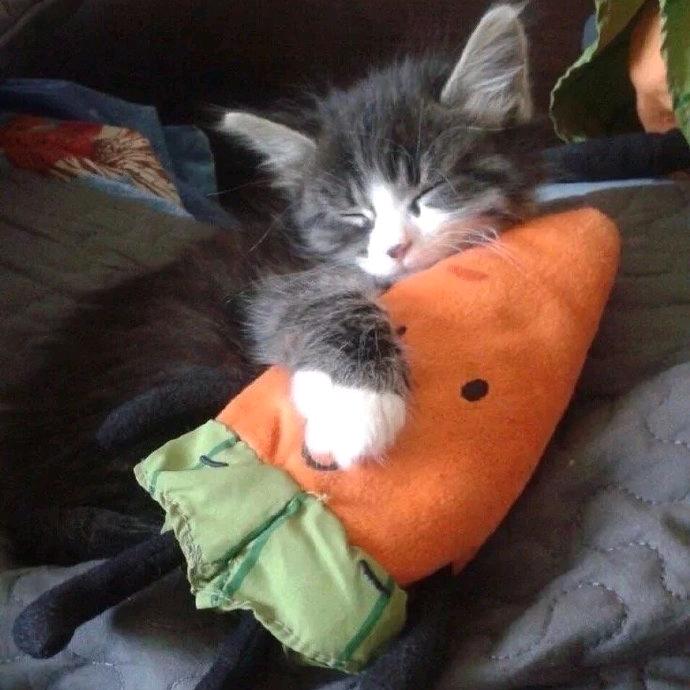 被子外面很危险