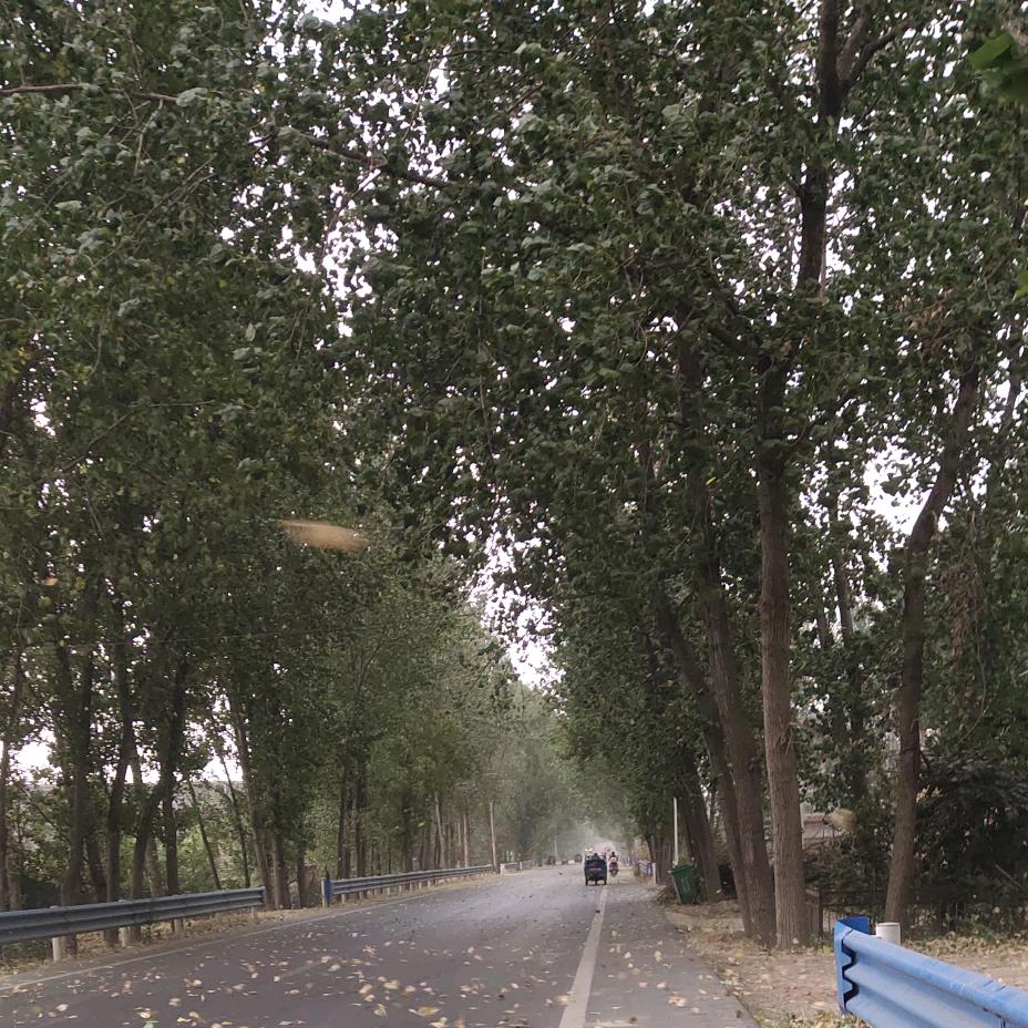 ꧔ꦿ᭄💞余生ℒℴ爱自己꧔ꦿ᭄💞