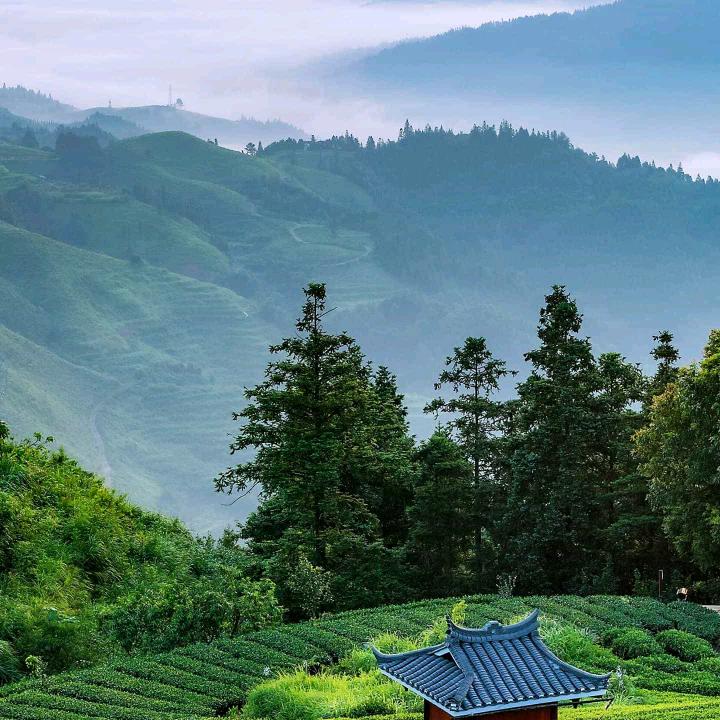 @霓裳