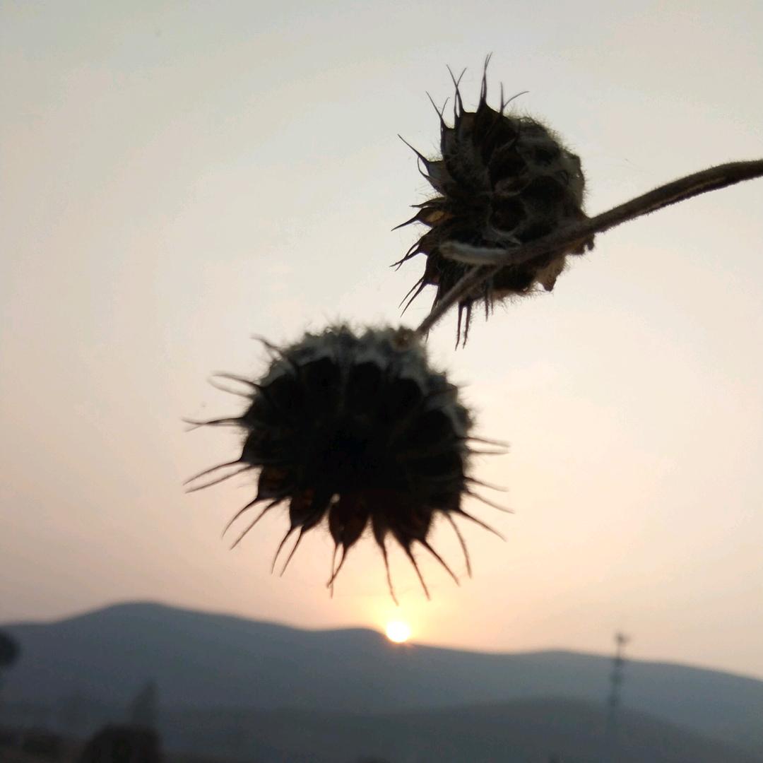 祈盼晴天