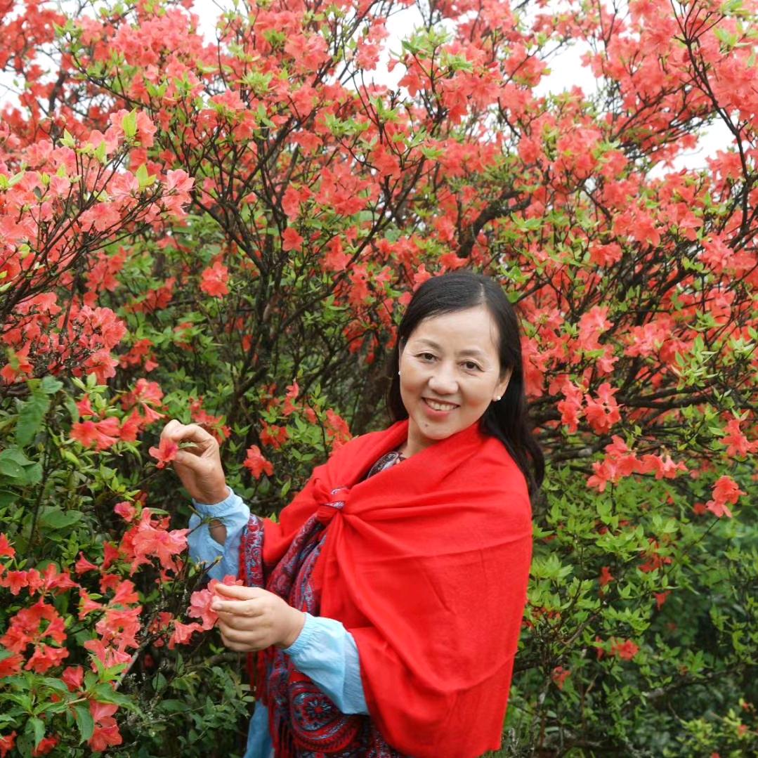 用户小龙女