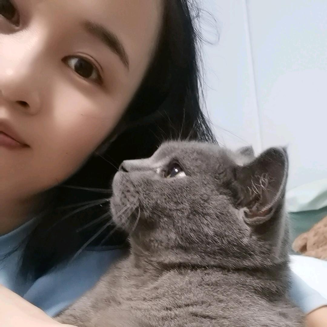 猫南南（带你飞）