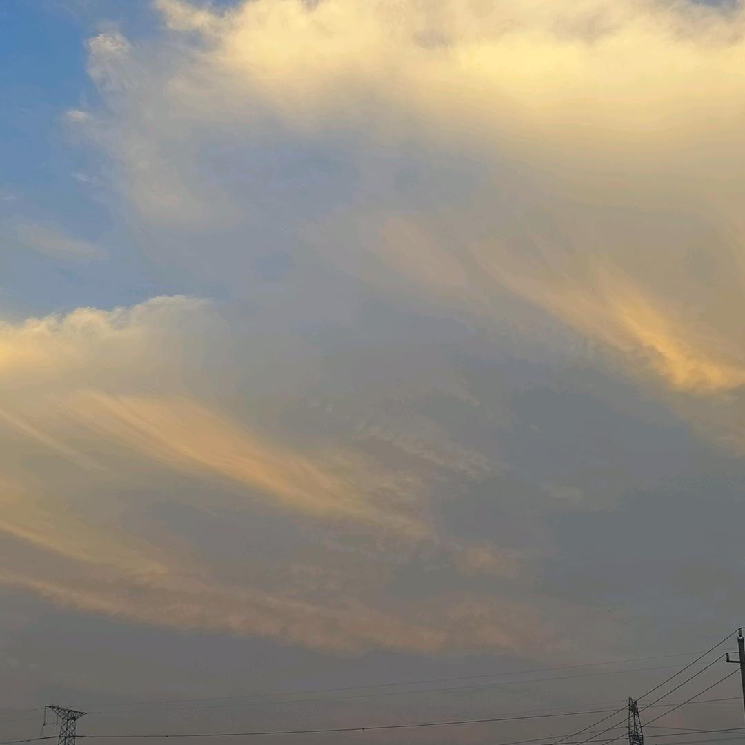 欲买桂花同载酒