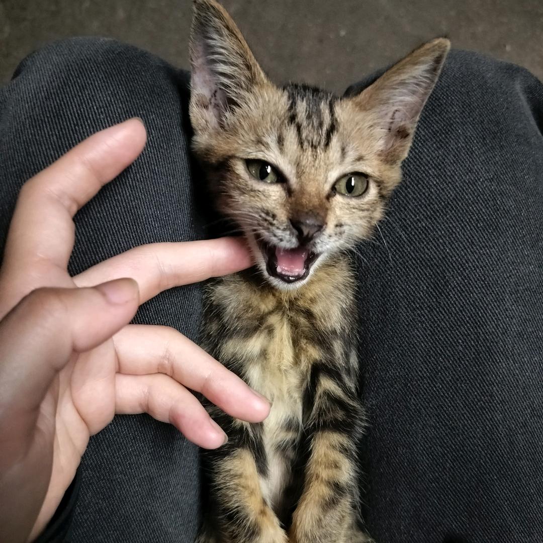 🙂