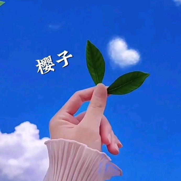 樱子