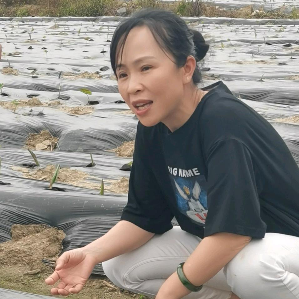 曾丽农业种植