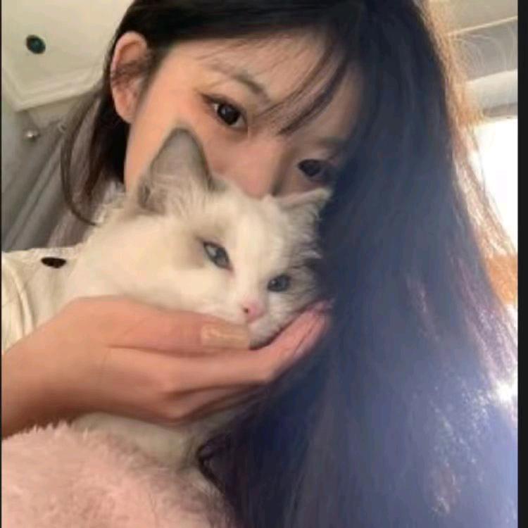 毛毛就有理.