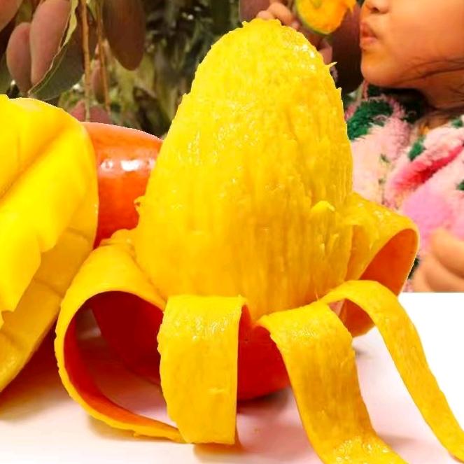 鲜果家