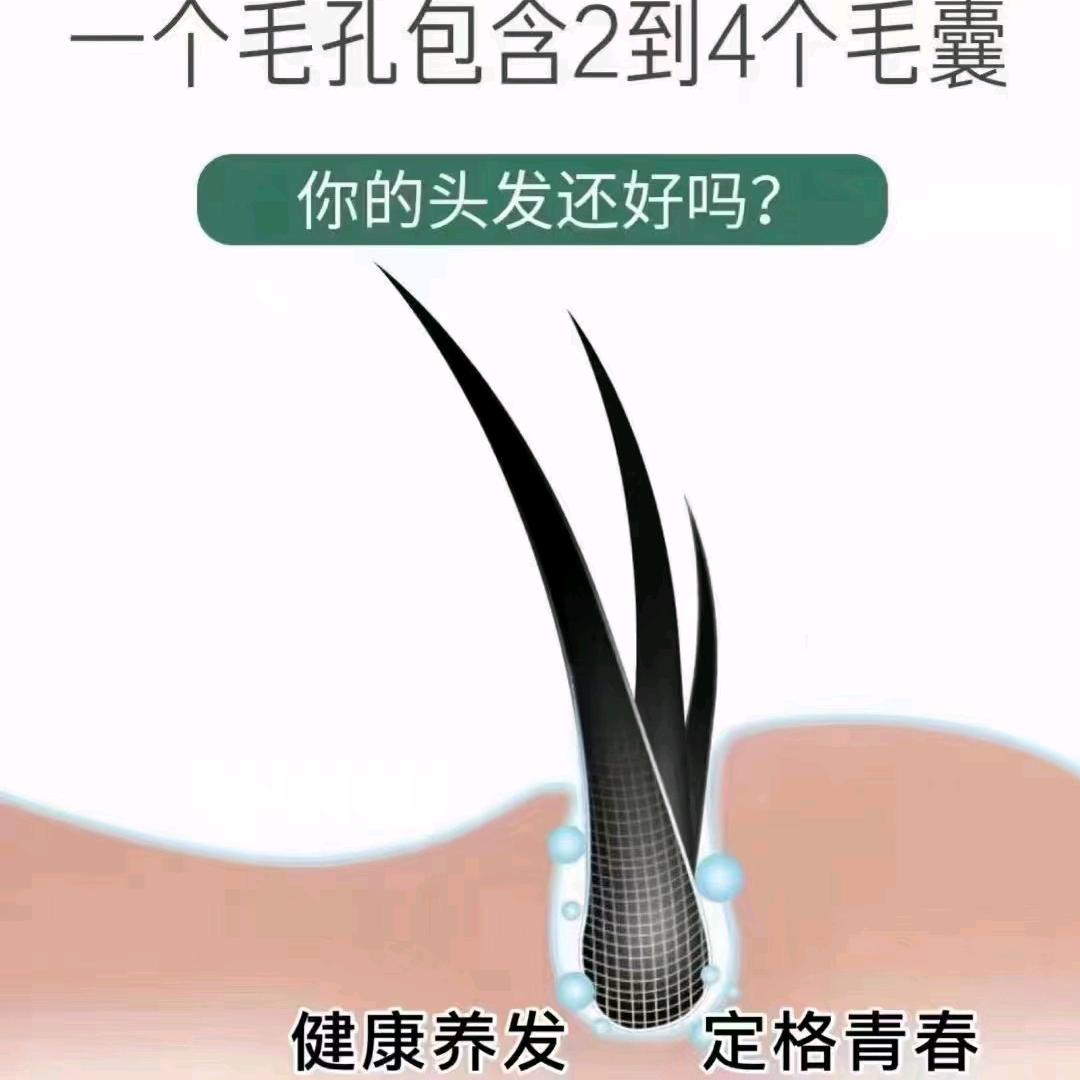 晓枫养发（线下指导不直播）