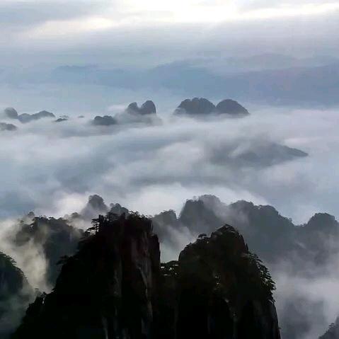 袁先森