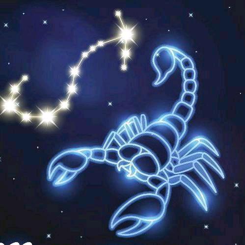 @🎣🎣〖喵不可言〗🐝🇨🇳