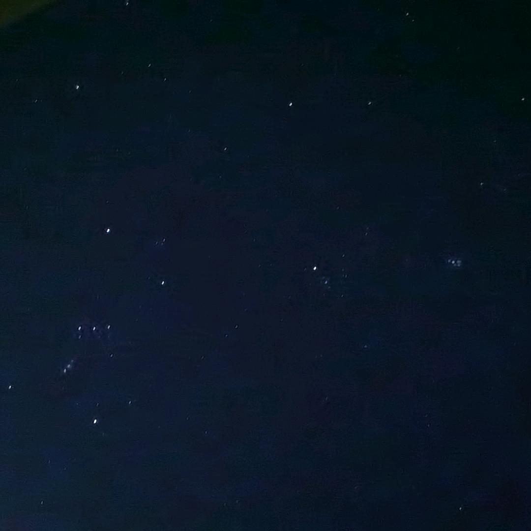 迷路浪浪山🧊