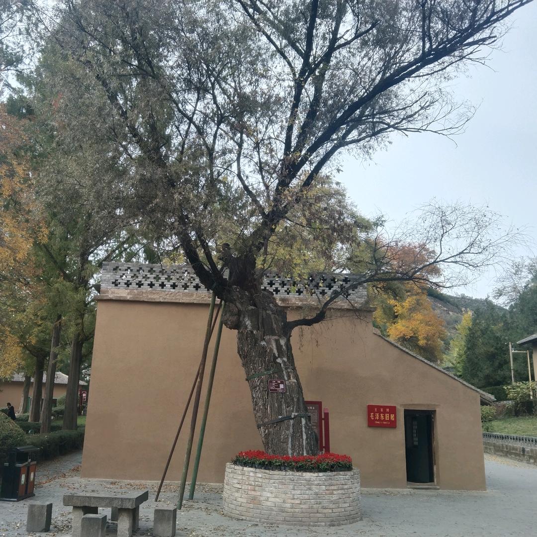 无名指等待