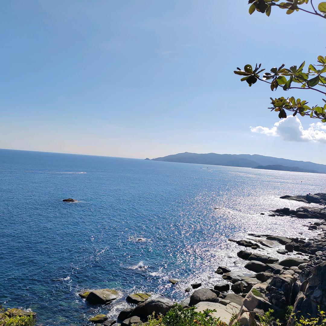 陈陈123