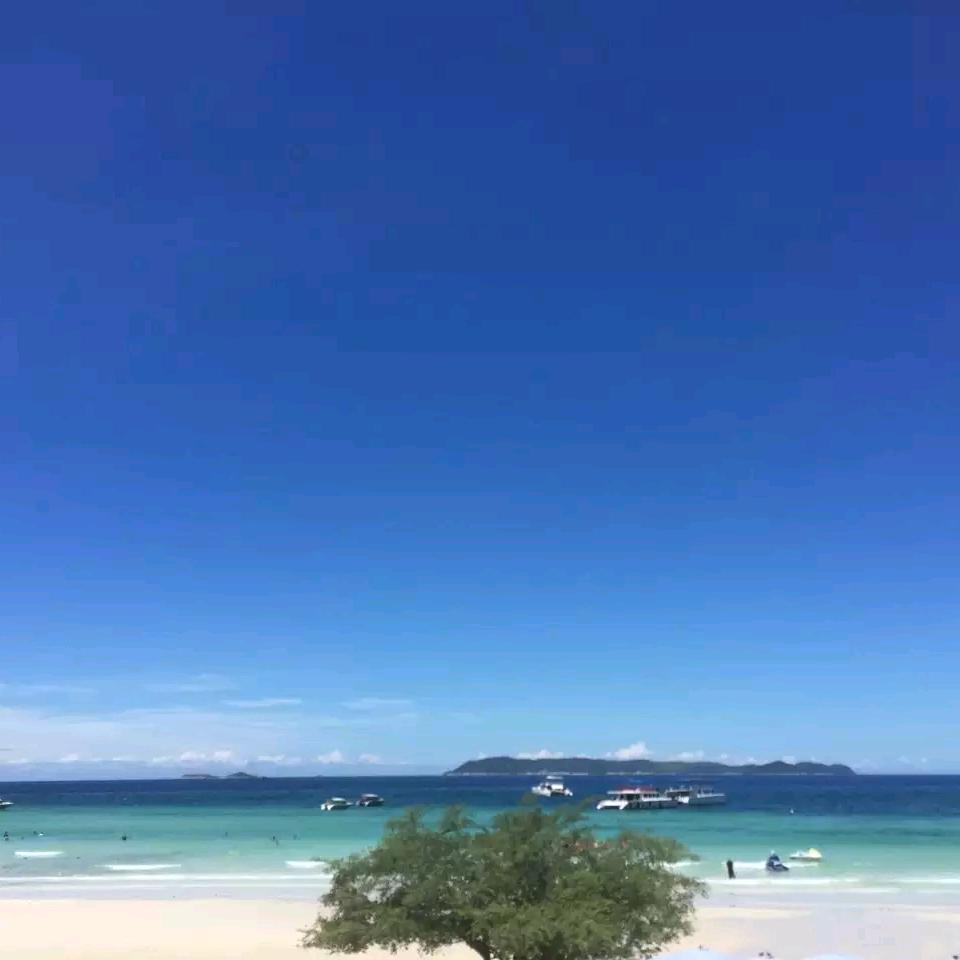 小明