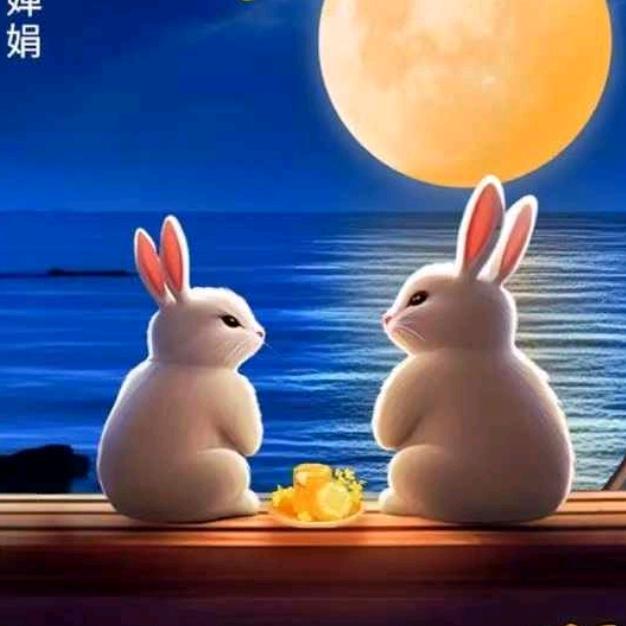 不念过去，不惧将来