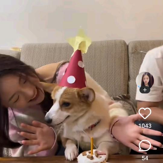 皖皖鱼子酱