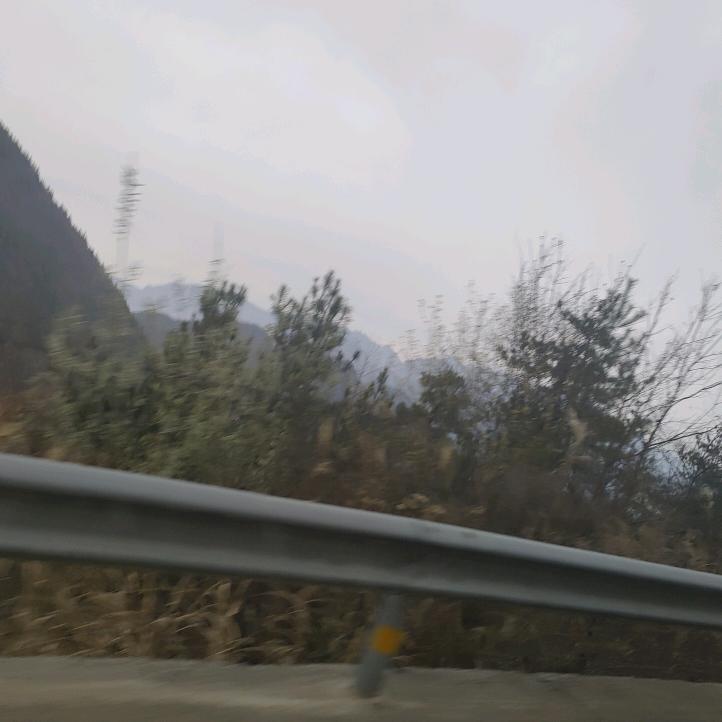 天下奇人