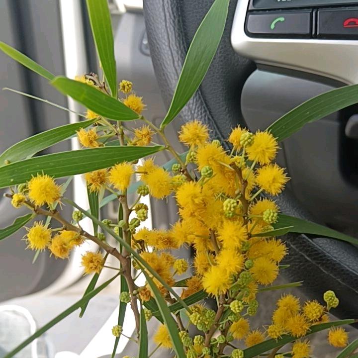 小罗