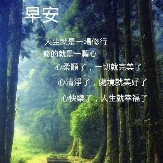 80岁的年轻人(153)