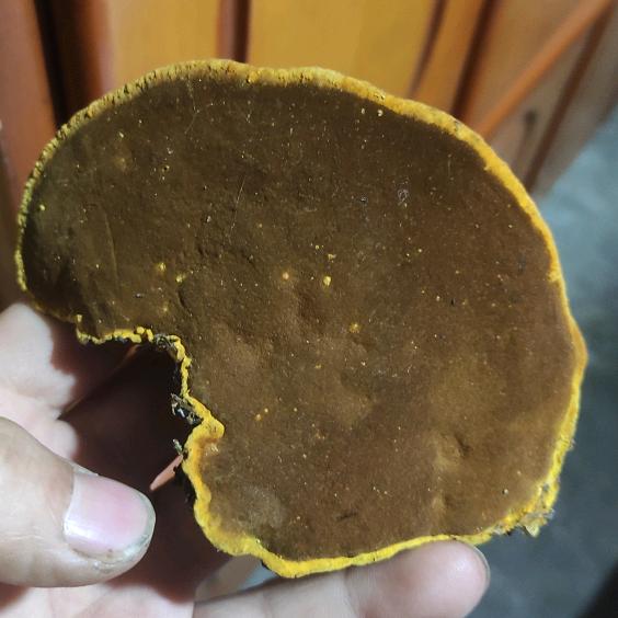 吃不胖的瘦子，饿不瘦的胖子