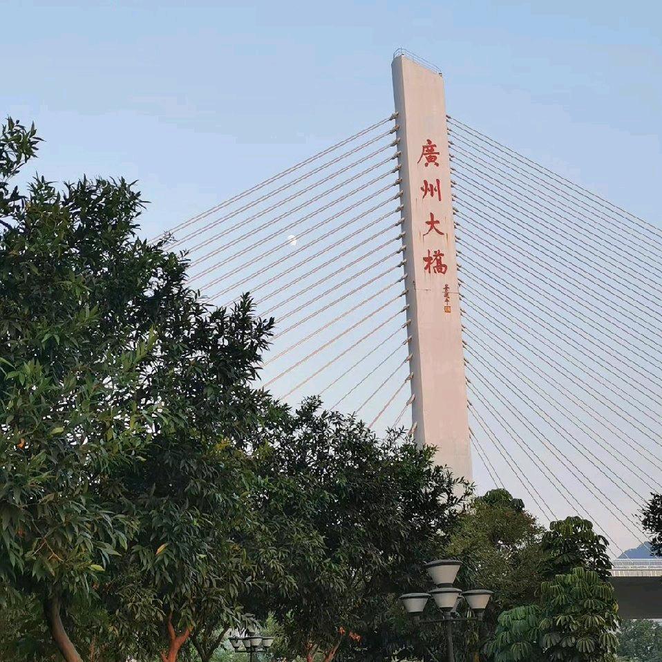 杨飞