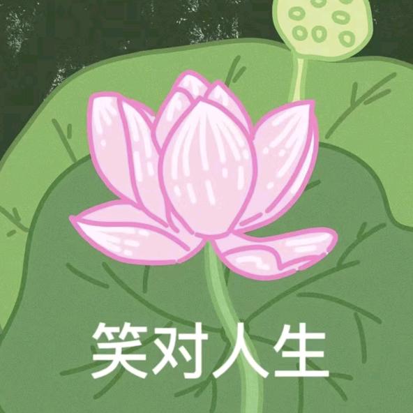 悲伤的哔哔机v