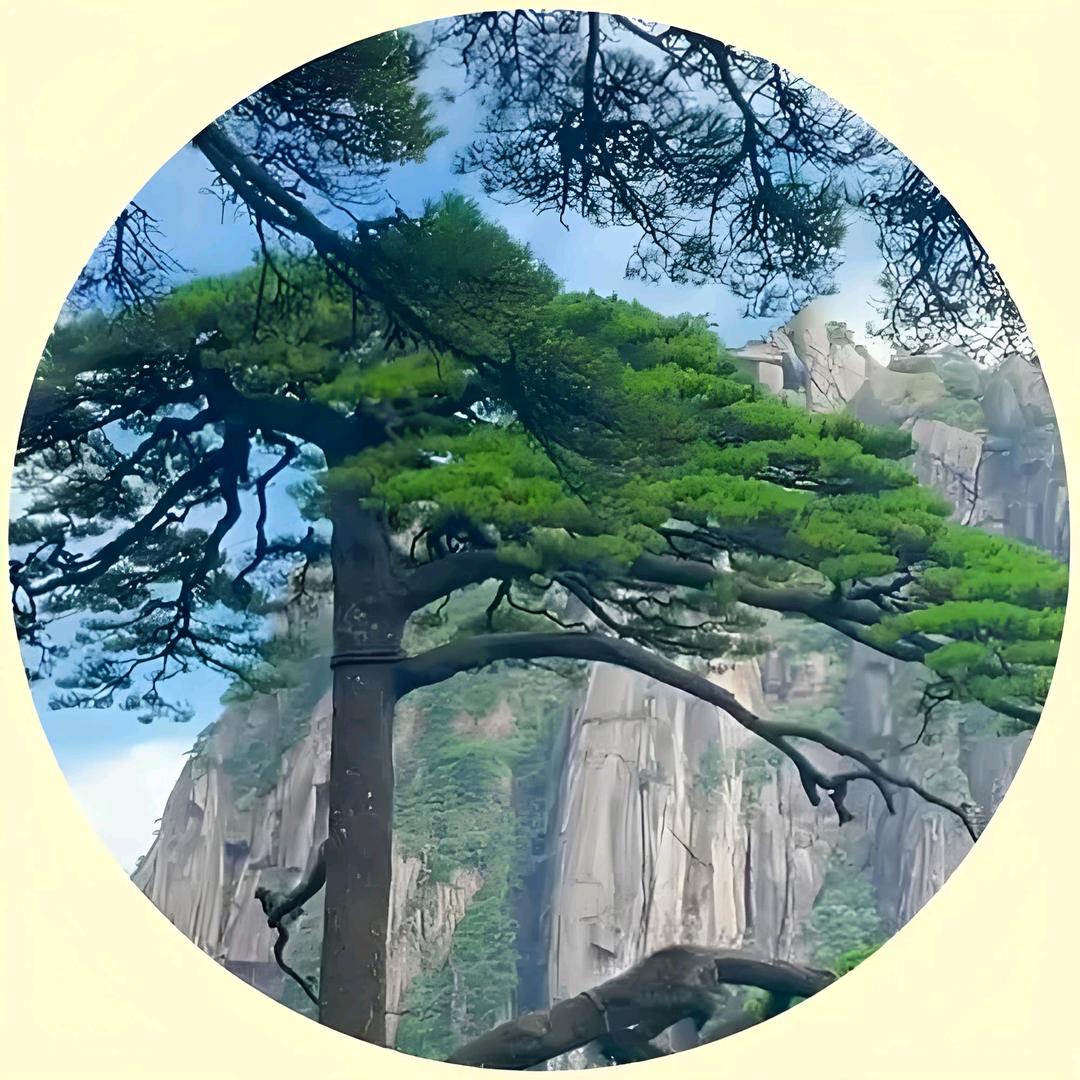 思钱想厚