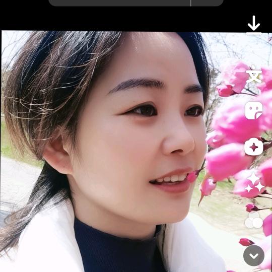 sijie52088