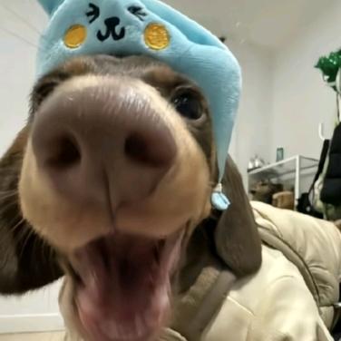 随便┐(‘～`；)┌