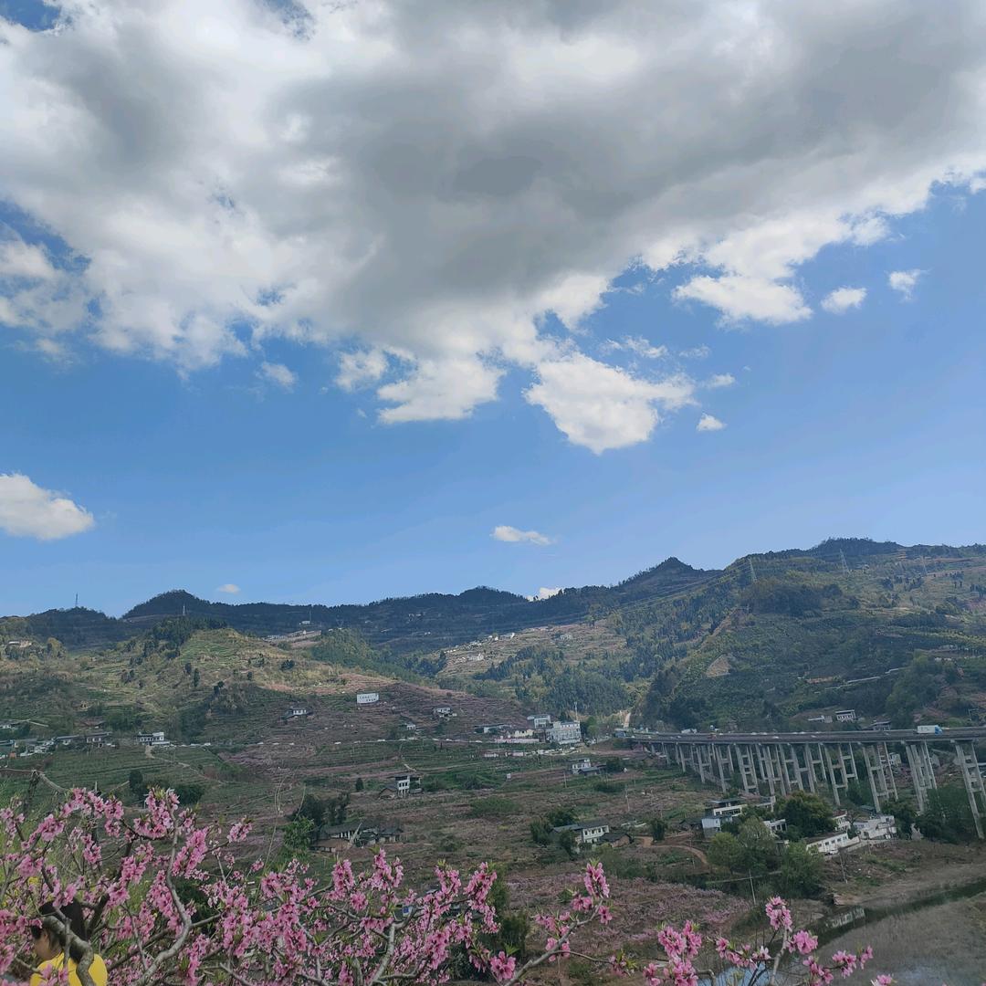 随心就好