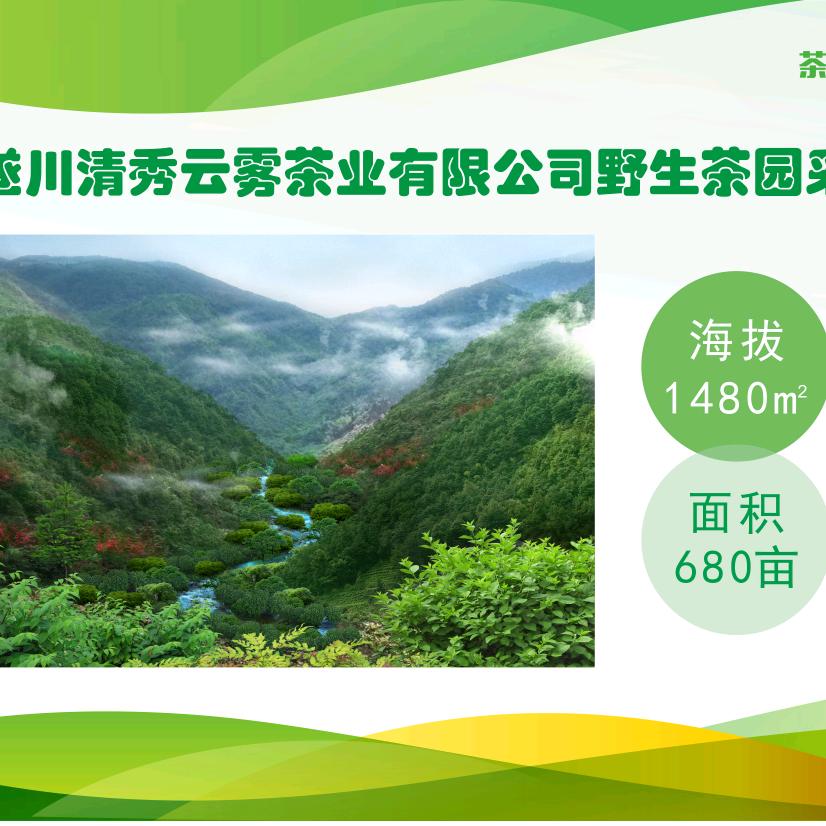 淋洋老仙狗牯脑茶企业店