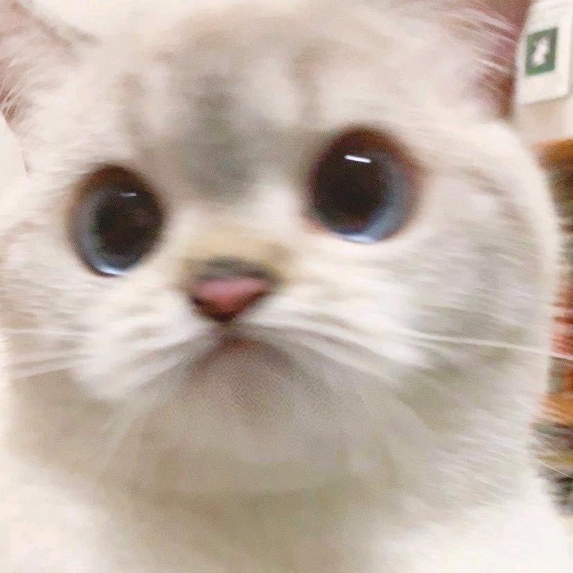 回家种田同学