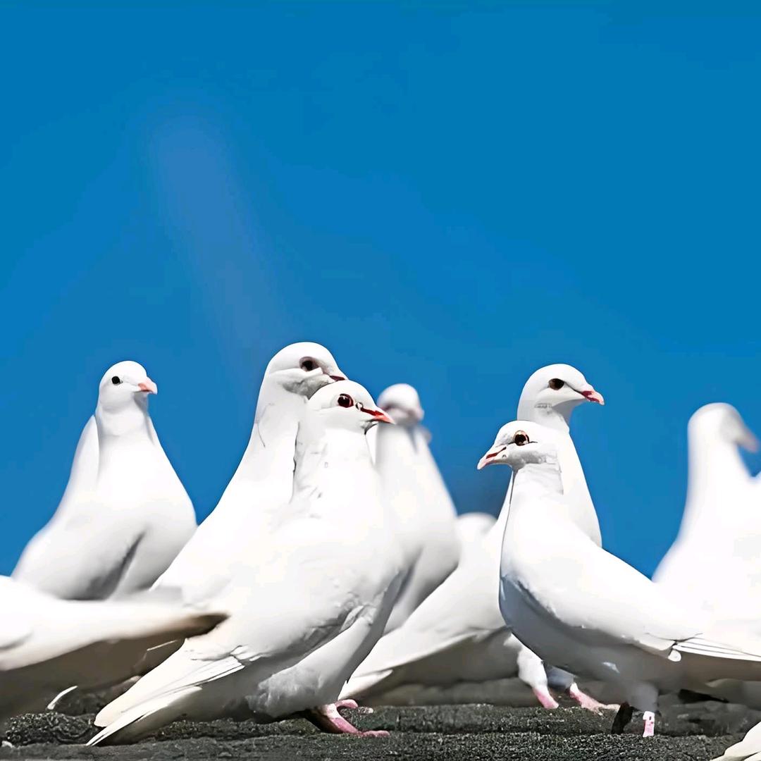 牧梓生物