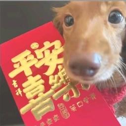 情怀姐姐