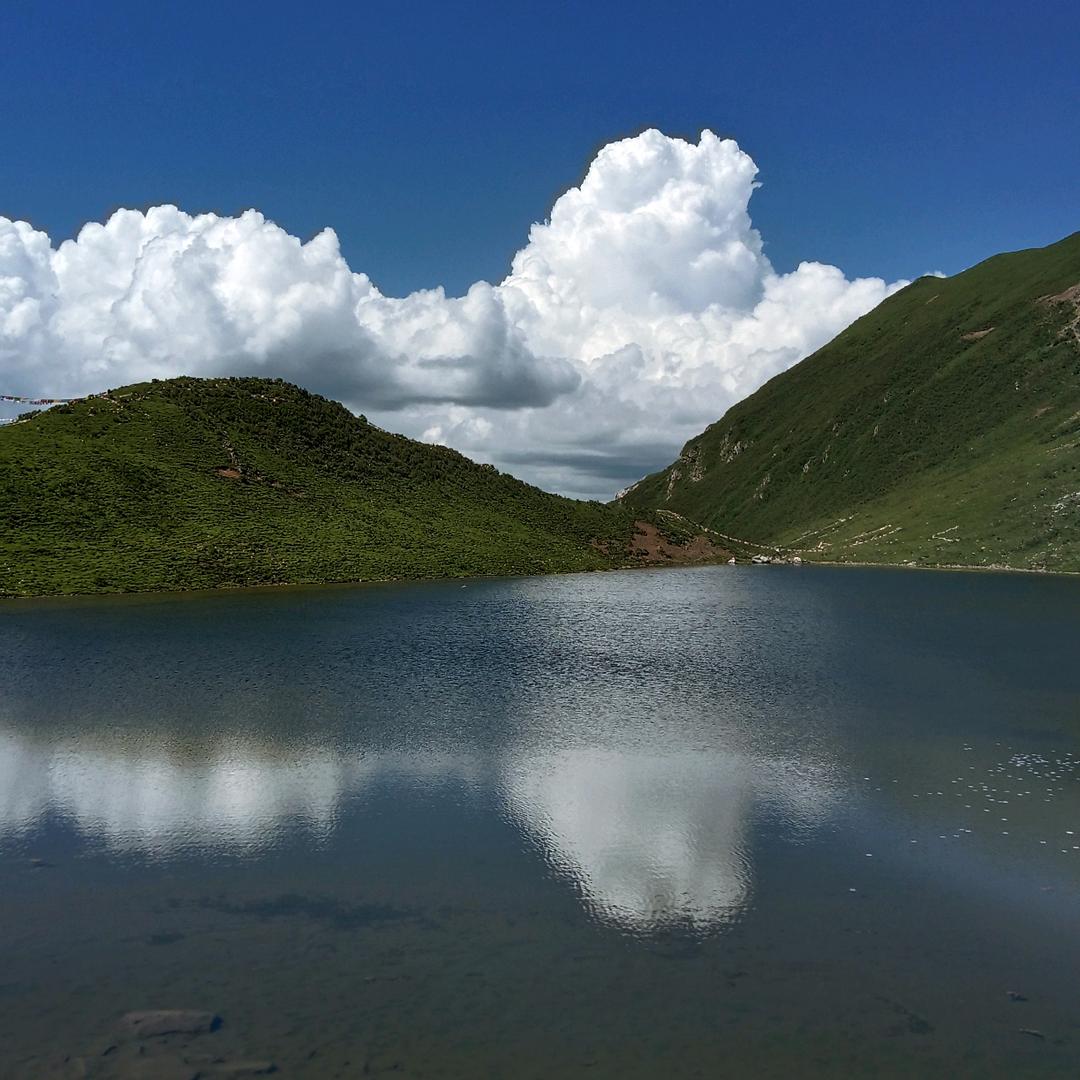 雪山雄鹰