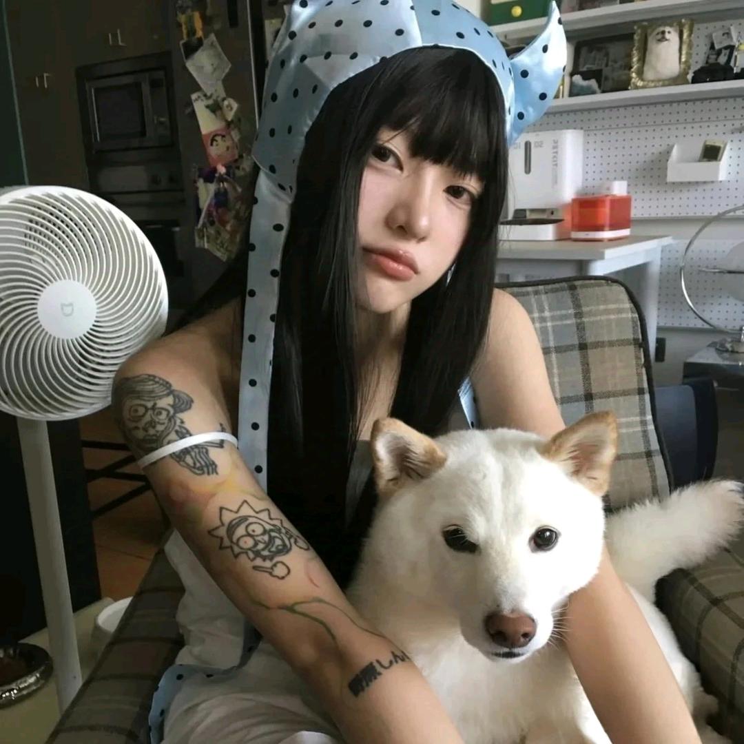 之之的狸花喵