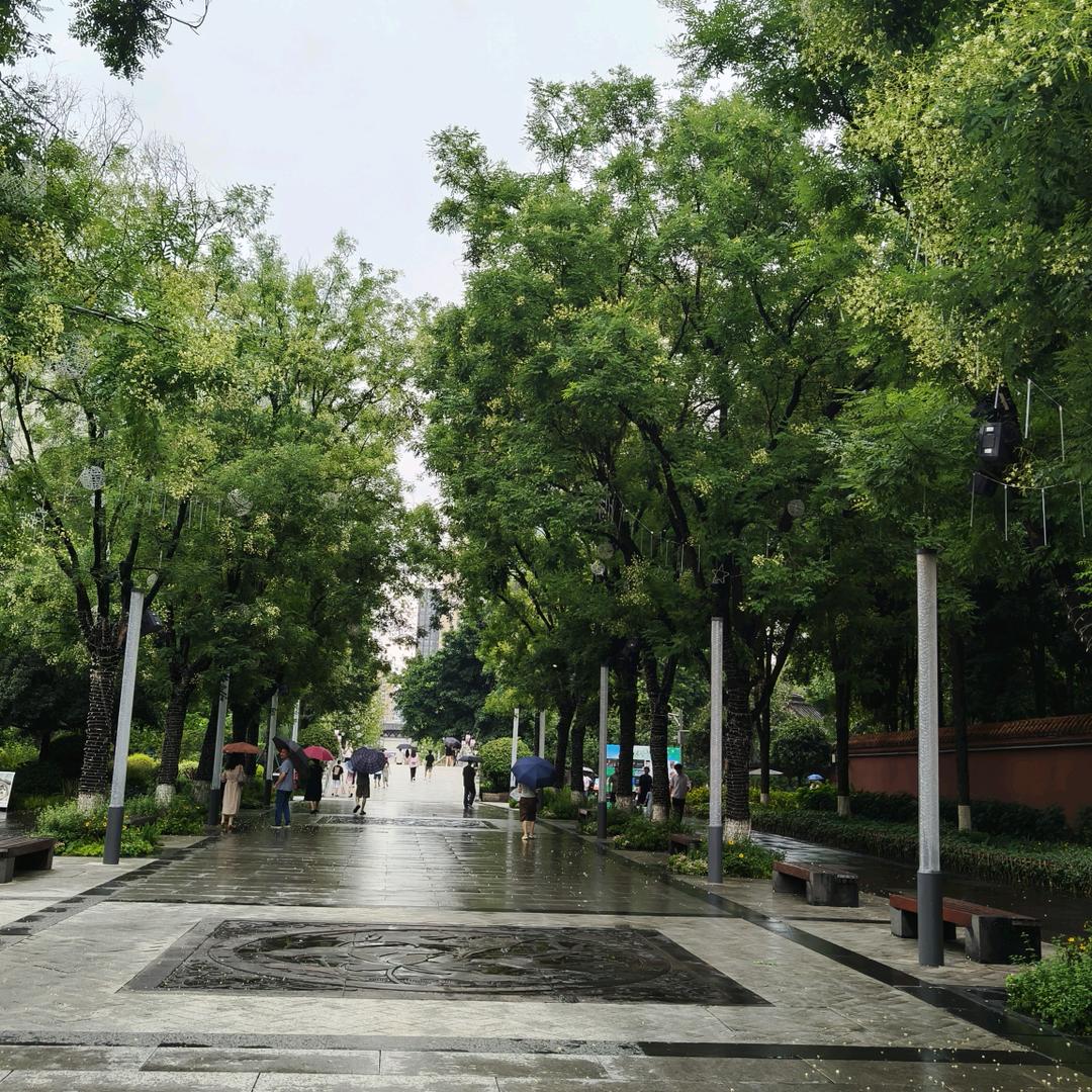 玲玲^O^星辰大海