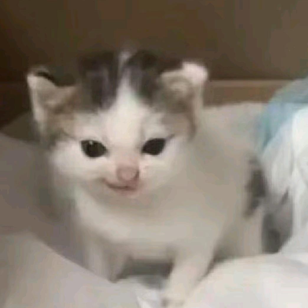 哆啦·