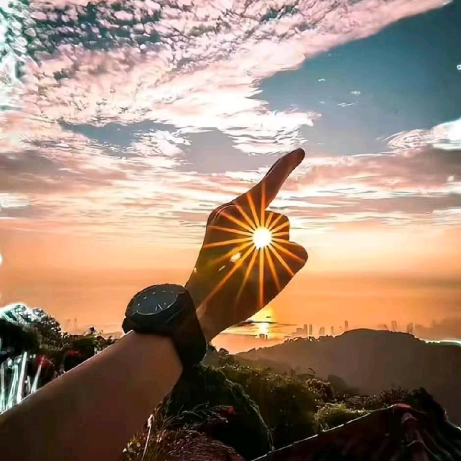 🎶🎼🎵牛哥很忙