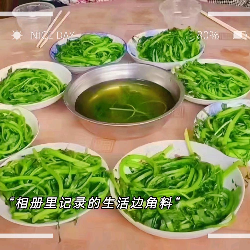 迷失方向